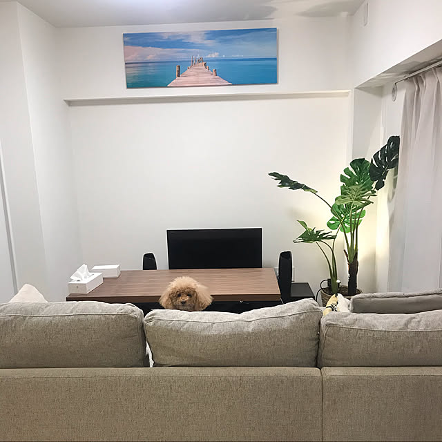 人気を誇る ニトリ 昇降テーブル NEW アクティブ ウォルナット