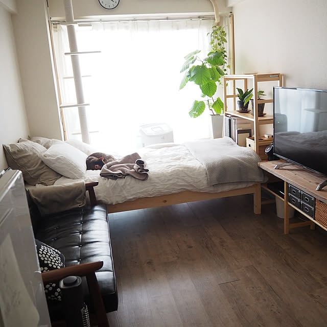 部屋全体/一人暮らし/無印良品/賃貸/1K/ウンベラータ&hellip;などのインテリア実例 20180430 103709