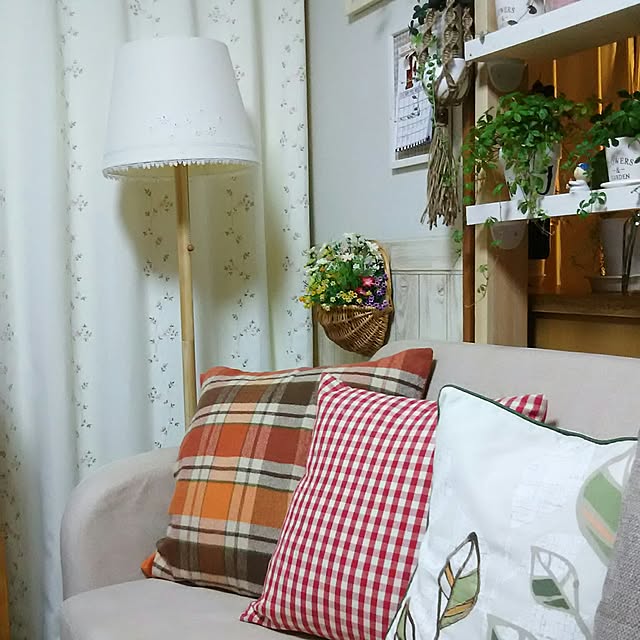 写真付きレビュー シュガーバイン 垂れ下がり 常緑つる性植物 風水 運気上がる 幸運 健康運 金運 リラックス効果 花言葉 すこやか 明るく元気に 観葉植物 インテリア 育てやすい 初心者向け プレゼント ギフト 送料無料の通販商品 口コミ情報 Roomclipショッピング 写真付きレビュー シュガーバイン 垂れ下がり 常緑つる性植物 風水 運気上がる 幸運 健康運 金運 リラックス効果 花言葉 すこやか 明るく元気に 観葉植物 インテリア 育てやすい 初心者向け プレゼント ギフト 送料無料の通販商品 口コミ情報 Roomclipショッピング