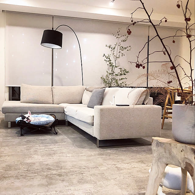 六家 Izo 定16万 Boconcept ボーコンセプト Kuta クタ 大型 フロアスタンド フロアランプ ライト 間接照明 黒 デンマーク 北欧 モダンのレビュー 口コミとして参考になる投稿1枚