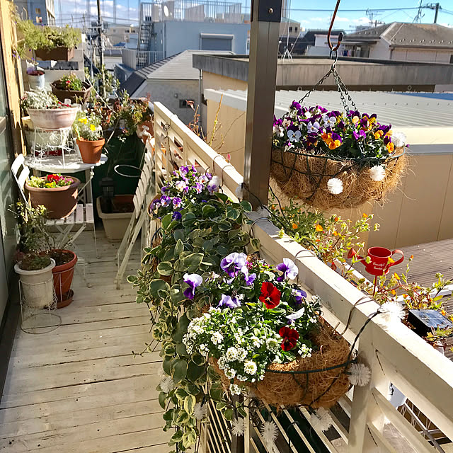 タカショー Gadis ヤシマット ハンギングバスケット35cm用 Ch35のレビュー 口コミとして参考になる投稿7枚 Roomclip ルームクリップ