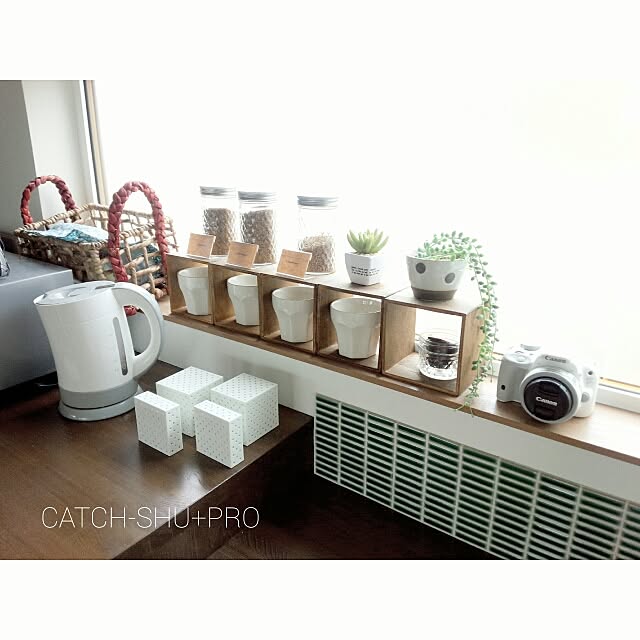株式会社ファルマ キャッチシューPRO ホワイト 強力 脱臭剤 [ 置き型 化学物質不使用 コンパクト 無香 長持ち ] 冷蔵庫 冷凍庫 玄関