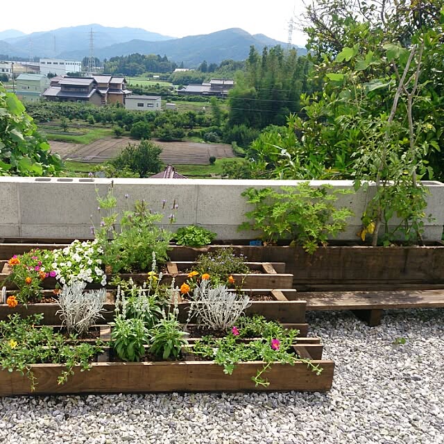 流木 自作 Diy パレットdiy 廃パレット などのインテリア実例 16 06 26 10 05 28 Roomclip ルームクリップ