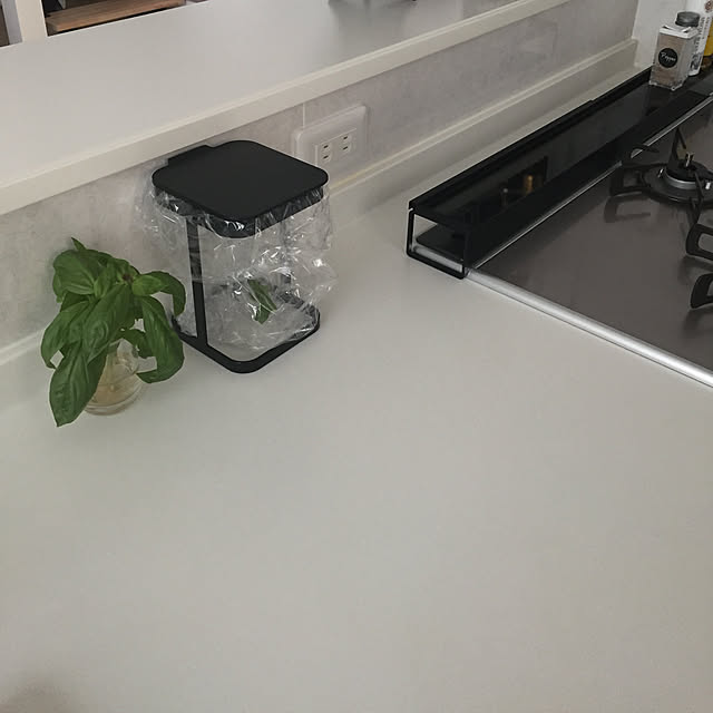 山崎実業 蓋付きポリ袋エコホルダー タワーのレビュー 口コミとして参考になる投稿11枚 Roomclip ルームクリップ