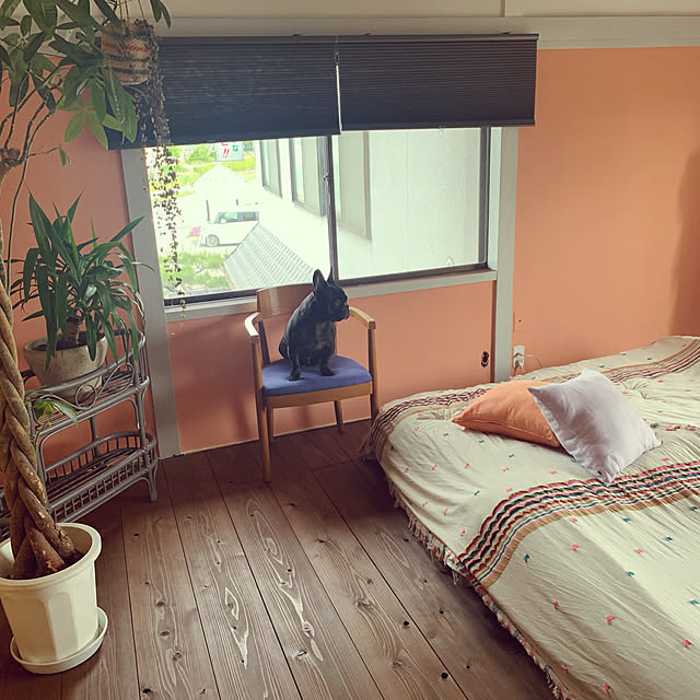 写真付きレビュー 壁紙の上に塗れるペンキイマジン ウォール ペイント 2l 水性塗料 ミレニアルピンクカラーズ 壁 天井 屋内木部用 約12 14平米の壁が塗れます の通販商品 口コミ情報 Roomclipショッピング 写真付きレビュー 壁紙の上に塗れるペンキイマジン ウォール ペイント 2l 水性塗料 ミレニアルピンクカラーズ 壁 天井 屋内木部用 約12 14平米の壁が塗れます の通販商品 口コミ情報 Roomclipショッピング