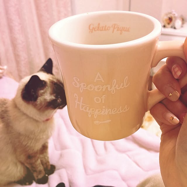 キッチン/gelato puque/Pink/ねこのインテリア実例 - 2014-01-28 18:49:15