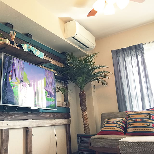 観葉植物 お試し5点セット 卓上サイズ おしゃれ インテリア 初心者 人気 おまかせ プレゼント 女性 男性 のレビュー クチコミとして参考になる投稿44枚