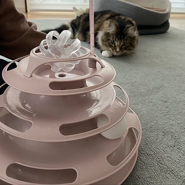 Ebs Raku 猫つめとぎ タワー 観覧車 段ボール キャットホイール 子猫向け 回し車 サイレントホイール 猫のトレッドミル キャットエクササイズホイール 猫スクラッチボード 猫用品 おもちゃ 静音 運動不足解消 ストレス解消 日本語説明書のレビュー 口コミとして参考に
