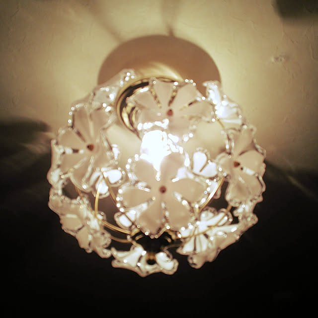 照明 シーリングライト 1灯 プチシーリングライト ブルーム ライト 花 プルメリア ハワイアン ハワイ シャンデリア 姫 激安 北欧 照明器具 天井照明 トイレ 6畳 プルメリア 玄関 花 かわいい 可愛い おしゃれ 天井 ダイニング用 食卓用 一人暮らし テレワーク 在宅 の