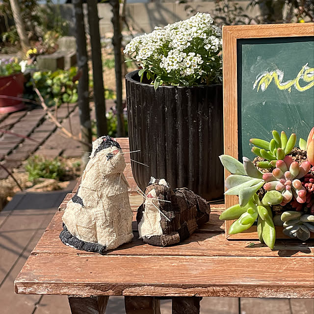 100円均一 ヒゲのまとめページ Roomclip ルームクリップ