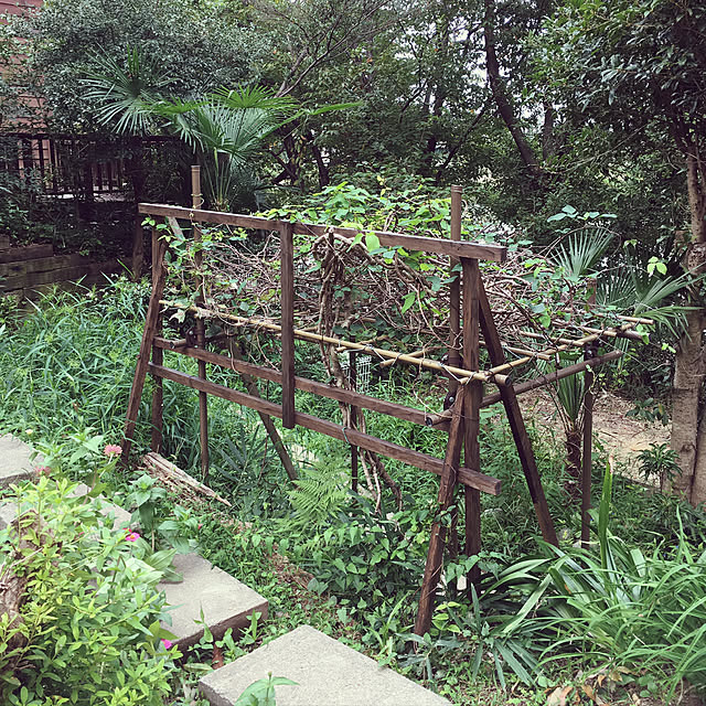 セキスイ フルーツパーゴラ Mタイプ 小型 1 8m 1 2m 2mh 積水樹脂のレビュー クチコミとして参考になる投稿3枚