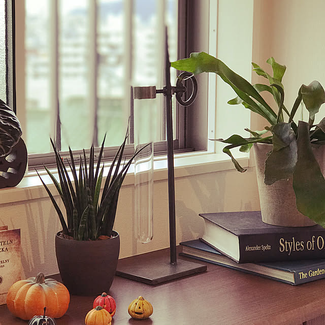 バランスチューブ シングルベース Covent Garden コベントガーデン スチール ガラス フラワーベース 花瓶 木 花 フラワー Ki 92のレビュー クチコミとして参考になる投稿10枚