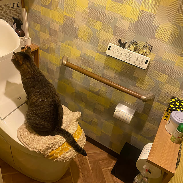 レック Lec レック 激落ち トイレ用 シート ペーパー つまんで クリーナー はさむ 洗う 流す 防汚加工トイレ対応 Bのレビュー 口コミとして参考になる投稿11枚 Roomclip ルームクリップ レック Lec レック 激落ち トイレ用 シート ペーパー つまんで クリーナー はさむ 洗う 流す 防汚加工トイレ対応 Bのレビュー 口コミとして参考になる投稿11枚 Roomclip ルームクリップ
