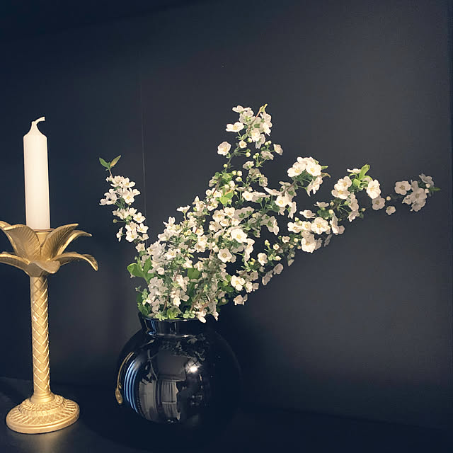 写真付きレビュー】アイリスオーヤマ(IRIS) アイリスオーヤマ 本棚 大 ...