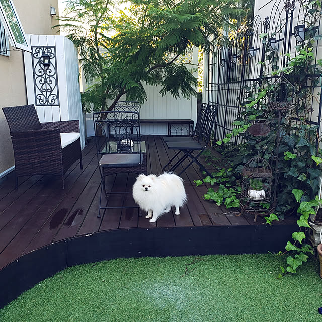 フェンス 目隠しフェンス ラティスフェンス ホワイトフェンス 樹脂フェンス 柵 エクステリア 樹脂 ラティス 屋外 庭 目隠し シンプル おしゃれ 白 ホワイト Diyバイナルフェンス プライバシーフェンス With ラティス 高さ約1900mm 幅2438 4mm 50kgサイズのレビュー