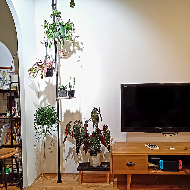 写真付きレビュー】AMATERAS 20W 植物育成用LED 口金E26 植物育成ライト アマテラス 観葉植物 テラリウム 沖縄別途送料 関東当日便の通販商品口コミ情報 | RoomClipショッピング 写真付きレビュー】AMATERAS 20W 植物育成用LED 口金E26 植物育成ライト アマテラス 観葉植物 テラリウム 沖縄別途送料 関東当日便の通販商品口コミ情報 | RoomClipショッピング