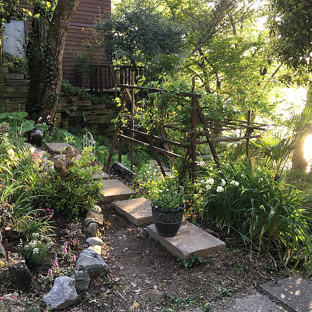 セキスイ フルーツパーゴラ Mタイプ 小型 1 8m 1 2m 2mh 積水樹脂のレビュー クチコミとして参考になる投稿3枚