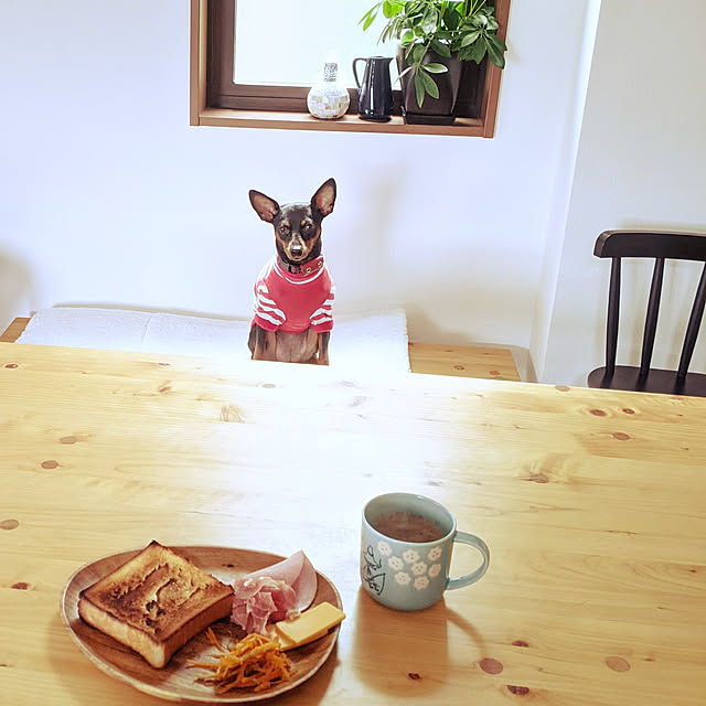 ダイソー ピンバッジのまとめページ Roomclip ルームクリップ