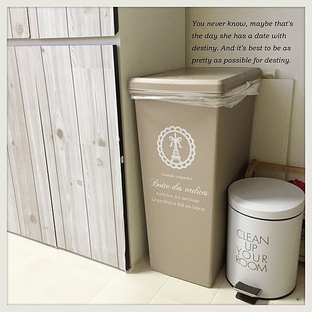 送料299円 全品p5倍 アース製薬バポナ スヌーピー 虫よけネットw 税抜5000円以上で送料無料 激安祭のレビュー クチコミとして参考になる投稿1枚 Roomclip ルームクリップ