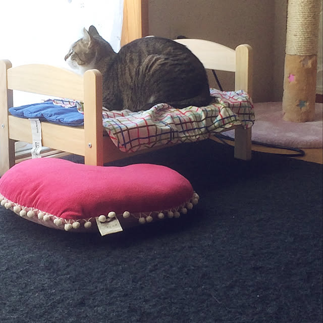 星のロング爪とぎ 1コ入 快適ねこ生活 のレビュー クチコミとして参考になる投稿1枚 Roomclip Item