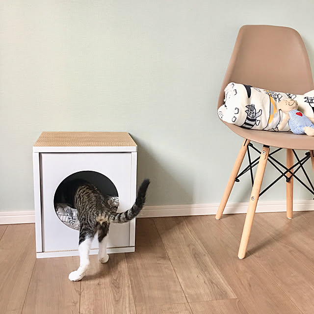 Happydays キャットハウス トール ブラウン ペット ケージ ダンボール 段ボール 猫 猫用のレビュー クチコミとして参考になる投稿25枚 Roomclip Item