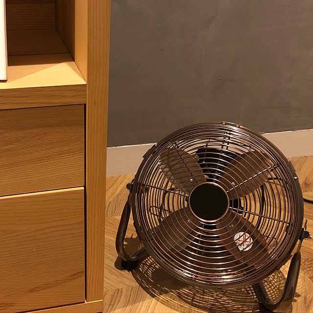 サーキュレーター メタル レトロ おしゃれ 扇風機 ヴィンテージ ブルックリン シンプル モダン アメリカン 送風機 コンパクト 省エネ アロマ ファン メタルサーキュレーター 10インチ ブロンズ シルバー アイボリーのレビュー クチコミとして参考になる投稿2枚 サーキュレーター メタル レトロ おしゃれ 扇風機 ヴィンテージ ブルックリン シンプル モダン アメリカン 送風機 コンパクト 省エネ アロマ ファン メタルサーキュレーター 10インチ ブロンズ シルバー アイボリーのレビュー クチコミとして参考になる投稿2枚