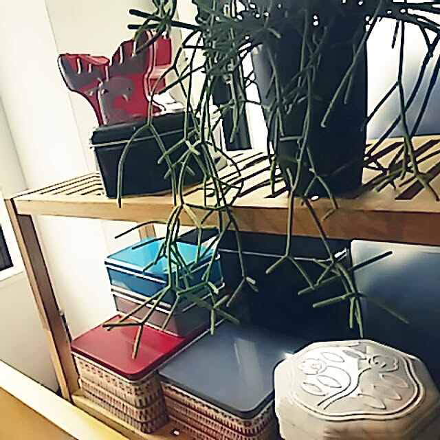 昭和初期から続くロングセラー 資生堂パーラー 花椿ビスケット 白缶のレビュー クチコミとして参考になる投稿1枚 Roomclip ルームクリップ