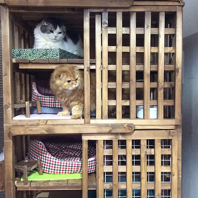 リビング/DIY/ハンドメイド/手作り/スコティッシュフォールド/猫ベッド&hellip;などのインテリア実例 20150217 2232