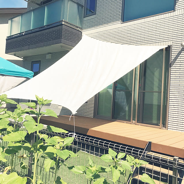 カンタンタープ Kantan Tarp タープ タープテント カンタンタープ2718 Ktnj2718 長方形 ワンタッチテント キャンプ アウトドア ネット限定色 名入れ可のレビュー 口コミとして参考になる投稿2枚 Roomclip ルームクリップ カンタンタープ Kantan Tarp タープ タープテント カンタンタープ2718 Ktnj2718 長方形 ワンタッチテント キャンプ アウトドア ネット限定色 名入れ可のレビュー 口コミとして参考になる投稿2枚 Roomclip ルームクリップ
