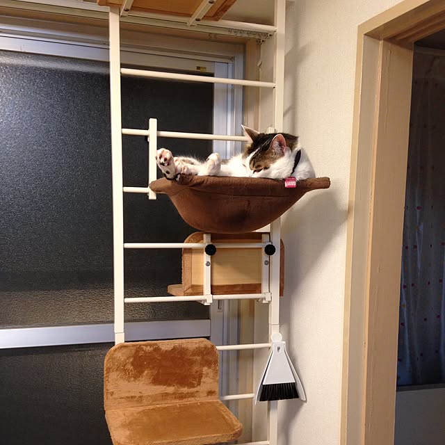キャット ウォークスリム 猫用 キャットタワー ペット 用品 突っ張り式 キャット ウォークスリム 猫用 キャットタワー ペット 用品 突っ張り式