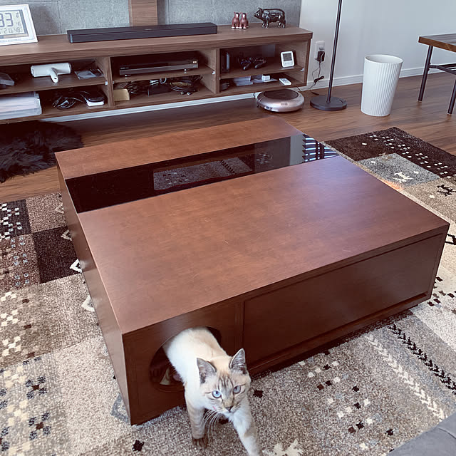 猫 ローテーブル テーブル ペット センターテーブル コーヒーテーブル おしゃれ 雑貨 ガラス 強化ガラス モダン シャビー ねこ ネコ