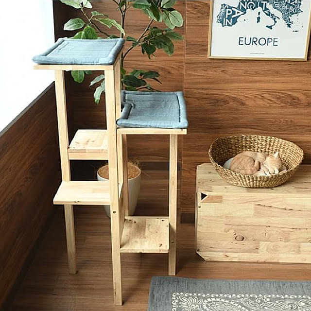 キャットタワー 木製 グリーン11月予定 Natural Signature ナチュラルシグネチャー Cut Hus キャトハス キャットタワー メッセージカード対応 猫 おしゃれ 木製 北欧 シンプル ラック ネコ 家具 インテリア あす楽 のレビュー クチコミとして参考になる投稿2枚 キャットタワー 木製 グリーン11月予定 Natural Signature ナチュラルシグネチャー Cut Hus キャトハス キャットタワー メッセージカード対応 猫 おしゃれ 木製 北欧 シンプル ラック ネコ 家具 インテリア あす楽 のレビュー クチコミとして参考になる投稿2枚