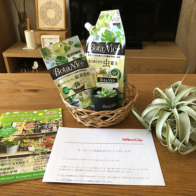 写真付きレビュー エアプランツ キセログラフィカ Xsサイズ 8 10cm エアープランツ 観葉植物 チランジア おしゃれの通販商品 口コミ情報 Roomclipショッピング 写真付きレビュー エアプランツ キセログラフィカ Xsサイズ 8 10cm エアープランツ 観葉植物 チランジア おしゃれの通販商品 口コミ情報 Roomclipショッピング