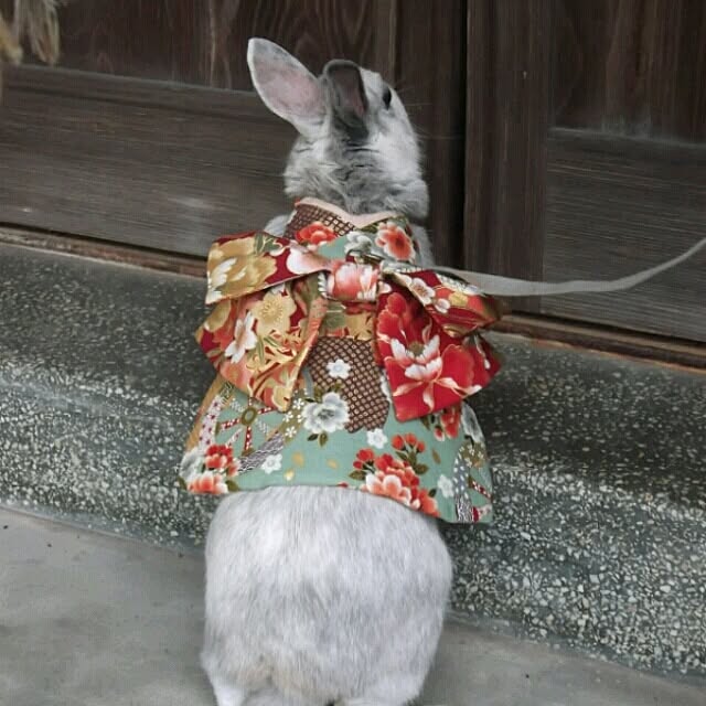 ベッド周り うさんぽ 手作り ペット うさぎ などのインテリア実例 15 03 02 22 58 11 Roomclip ルームクリップ