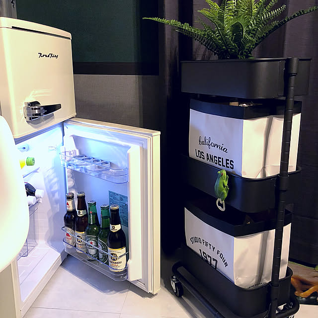 ｉｋｅａ イケア Fejka 人工観葉植物34 Cm アビスのレビュー クチコミとして参考になる投稿枚