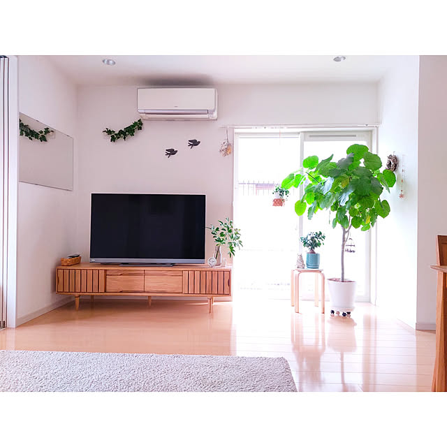テレビボード 北欧 天然木 木製 テレビ台 おしゃれ テレビボード 完成品 無垢 木製 テレビラック 伸縮 Tvボード Tv台 テレビ台 北欧 モダン カントリー シンプル Av収納 ローボード 送料 開梱設置無料 Kissui テレビボード180のレビュー クチコミとして参考になる投稿 テレビボード 北欧 天然木 木製 テレビ台 おしゃれ テレビボード 完成品 無垢 木製 テレビラック 伸縮 Tvボード Tv台 テレビ台 北欧 モダン カントリー シンプル Av収納 ローボード 送料 開梱設置無料 Kissui テレビボード180のレビュー クチコミとして参考になる投稿