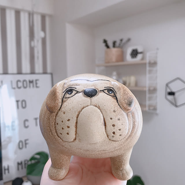リサ ラーソン 置物 リサラーソン ケンネル ブルドッグ 中 ブラウン 動物 Lisalarson Lisa Larson Kennel Bulldog 犬 陶器 北欧 オブジェのレビュー クチコミとして参考になる投稿77枚 Roomclip ルームクリップ