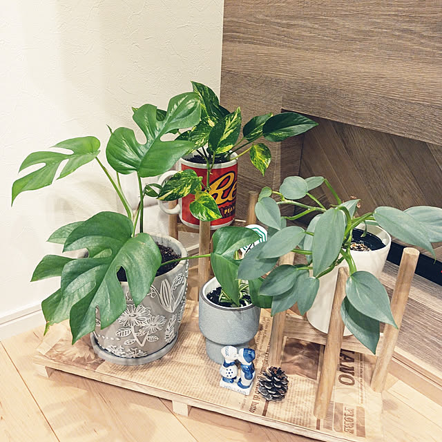 プランター 植木鉢 おしゃれ 室内 北欧風 鉢植え 穴あり 皿付き 可愛い ガーデニング 寄せ植え サボテン 多肉植物 かわいい インテリア 15cmのレビュー クチコミとして参考になる投稿9枚