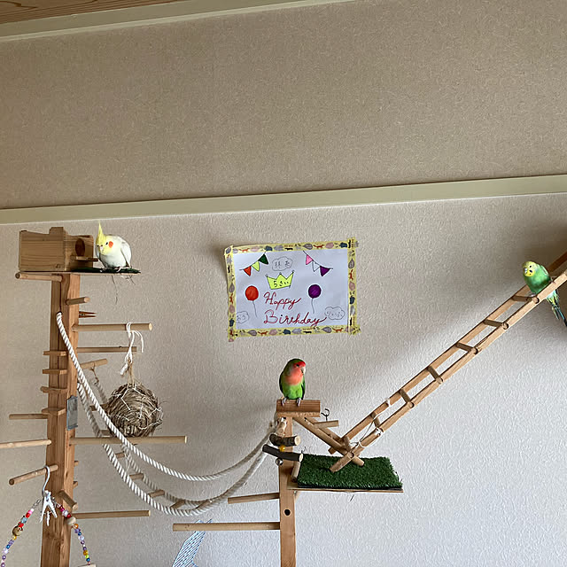 写真付きレビュー】マルカン バードルーム ツボ巣 中 MB−2の通販商品口コミ情報 | RoomClipショッピング 写真付きレビュー】マルカン バードルーム ツボ巣 中 MB−2の通販商品口コミ情報 | RoomClipショッピング