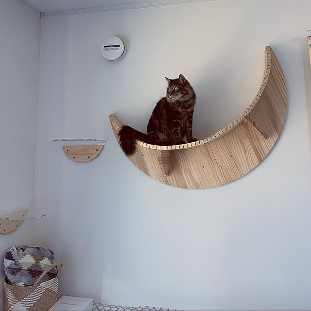 التأكيد لؤلؤي خبازي ニトリ 猫 抱き 枕 Natural Soap Directory Org