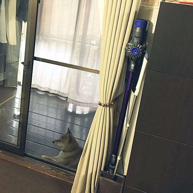 Dyson V6 Motorhead Sv07mh Sv07mhのレビュー クチコミとして参考になる投稿16枚 Roomclip Item