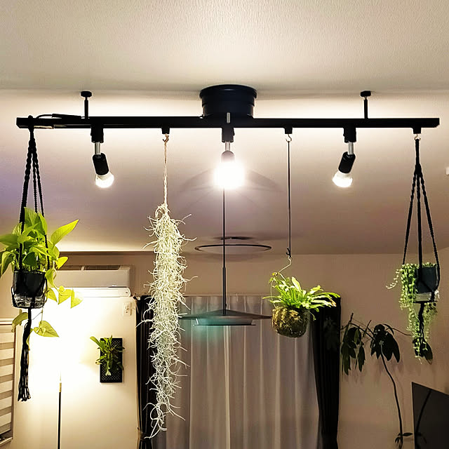 超人気新品 配線ダクトレール ライティング ダクトレール ライティング