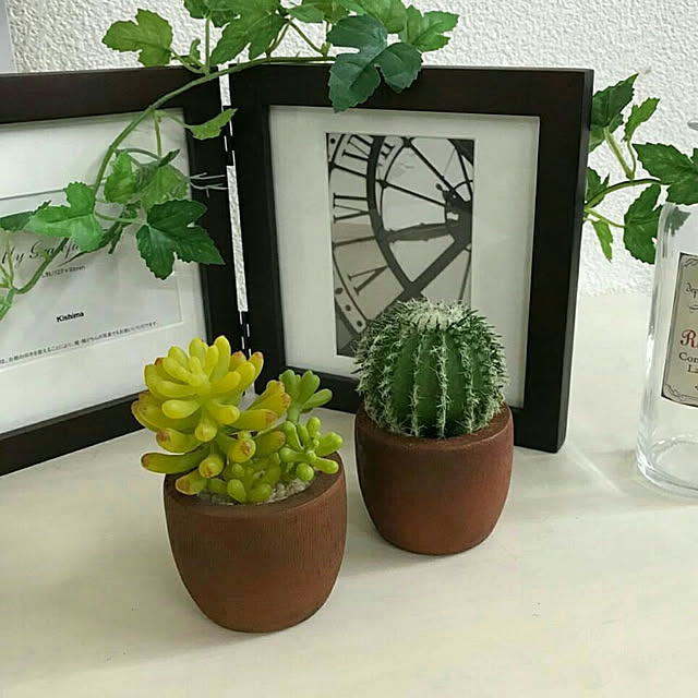 フェイクグリーン おしゃれ サボテン コケ 多肉植物 リビング ダイニング 玄関 キッチン トイレ インテリア 雑貨 ナチュラル モダン グリーン Ct触媒 造花 消臭 防汚 抗菌 癒し ギフト 消臭アーティフィシャルグリーン Eclia エクリアのレビュー クチコミとして参考に フェイクグリーン おしゃれ サボテン コケ 多肉植物 リビング ダイニング 玄関 キッチン トイレ インテリア 雑貨 ナチュラル モダン グリーン Ct触媒 造花 消臭 防汚 抗菌 癒し ギフト 消臭アーティフィシャルグリーン Eclia エクリアのレビュー クチコミとして参考に