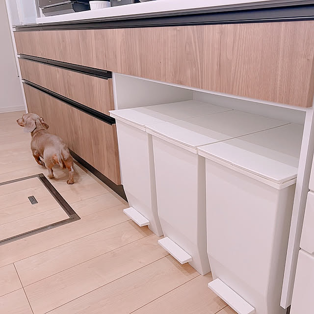 写真付きレビュー】ゴミ箱 45L SOLOW ペダルオープンスリム ( 送料無料 ごみ箱 45リットル ソロウ ペダル式 ふた付き 両開き 分別 棚下 カウンター下 スリム 幅27 キッチン 角型 高さ揃う ホワイト ブラック シンプル おしゃれ )の通販商品口コミ情報 | RoomClip ... 写真付きレビュー】ゴミ箱 45L SOLOW ペダルオープンスリム ( 送料無料 ごみ箱 45リットル ソロウ ペダル式 ふた付き 両開き 分別 棚下 カウンター下 スリム 幅27 キッチン 角型 高さ揃う ホワイト ブラック シンプル おしゃれ )の通販商品口コミ情報 | RoomClip ...