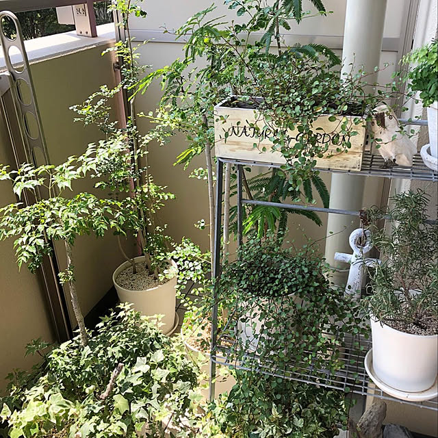 ☆大感謝セール】 無印良品 3段折りたたみ式ガーデンシェルフ