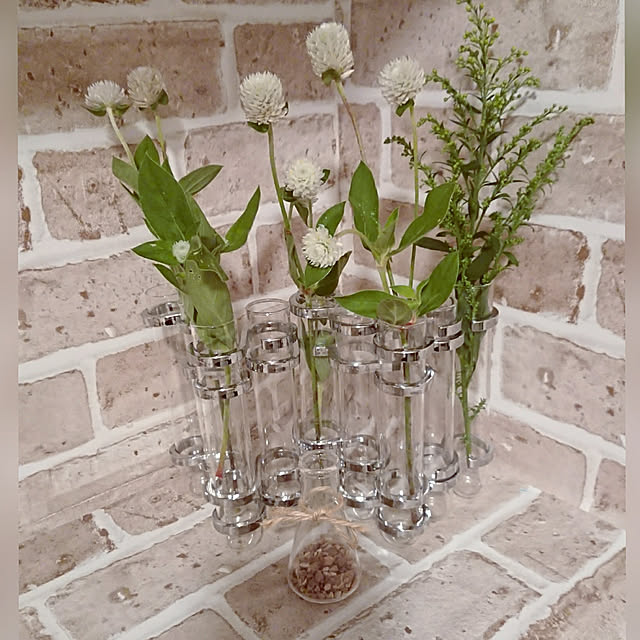リンクチューブ ベース シルバー ダルトン Dulton 花瓶 ガラス 一輪挿し 花器 おしゃれ アンティーク フラワーベースのレビュー クチコミとして参考になる投稿2枚