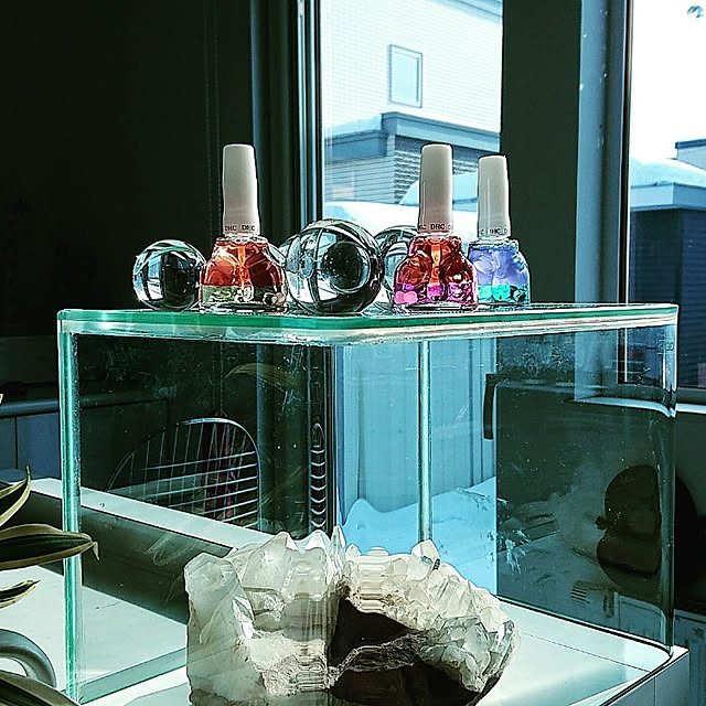 店内p最大28倍以上 300pt開催 Dhc直販化粧品 Dhcキューティクルトリートメントオイル 爪用美容液 ブルームーンライト Dhc Dhc ディーエイチシー ネイル キューティクルオイル 爪用 オイル 爪 ケア ネイルオイル ネイルケア ネイル用品 ネイルトリートメントの