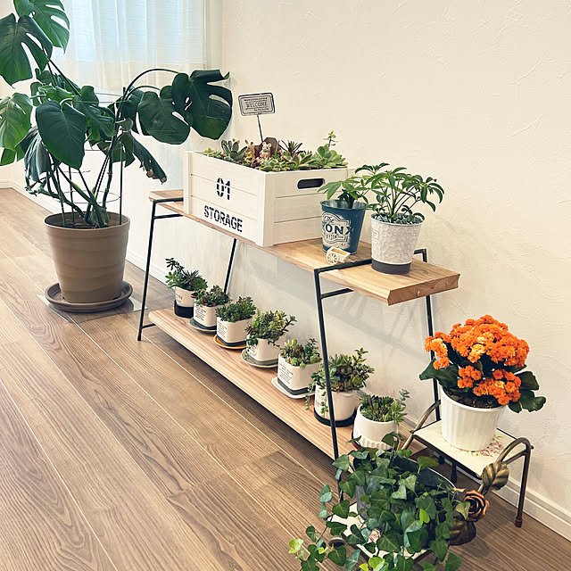 写真付きレビュー 楽天ランキング受賞 フレグラーポット 36cm 12号 鉢 プラ鉢 植木鉢 ガーデニング鉢 プランター鉢 鉢カバー ガーデニング プランター フレグラー 観葉植物 24リットル 室内 屋外 プラスチック 軽い 大型 おしゃれ オシャレ かわいい カワイイ