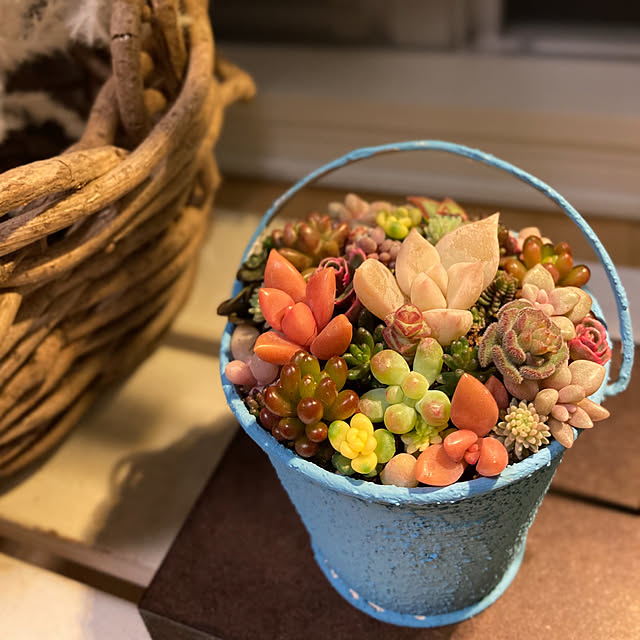 正規店仕入れの 人気ギフト 栽培用ライト Ledスタンドライト 植物栽培 植物育成 野菜 照明 Led Usb電源 デスクライト プレゼント ポットランド Luche ルーチェ Shipsctc Org