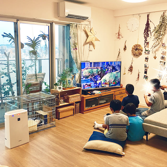 写真付きレビュー 洋ランの苗 アスコセントラム ミニアタム オレンジ 花咲く苗セット 洋ラン栽培セット 素焼き鉢 お花の説明書 肥料 受皿 保証書付き 洋ランの育て方の説明書付き 洋蘭苗栽培キット植え替えの通販商品 口コミ情報 Roomclipショッピング